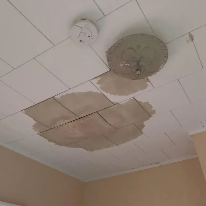 Ceiling Water Damage Repair in Basehor, KS